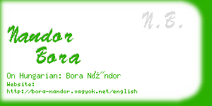 nandor bora business card